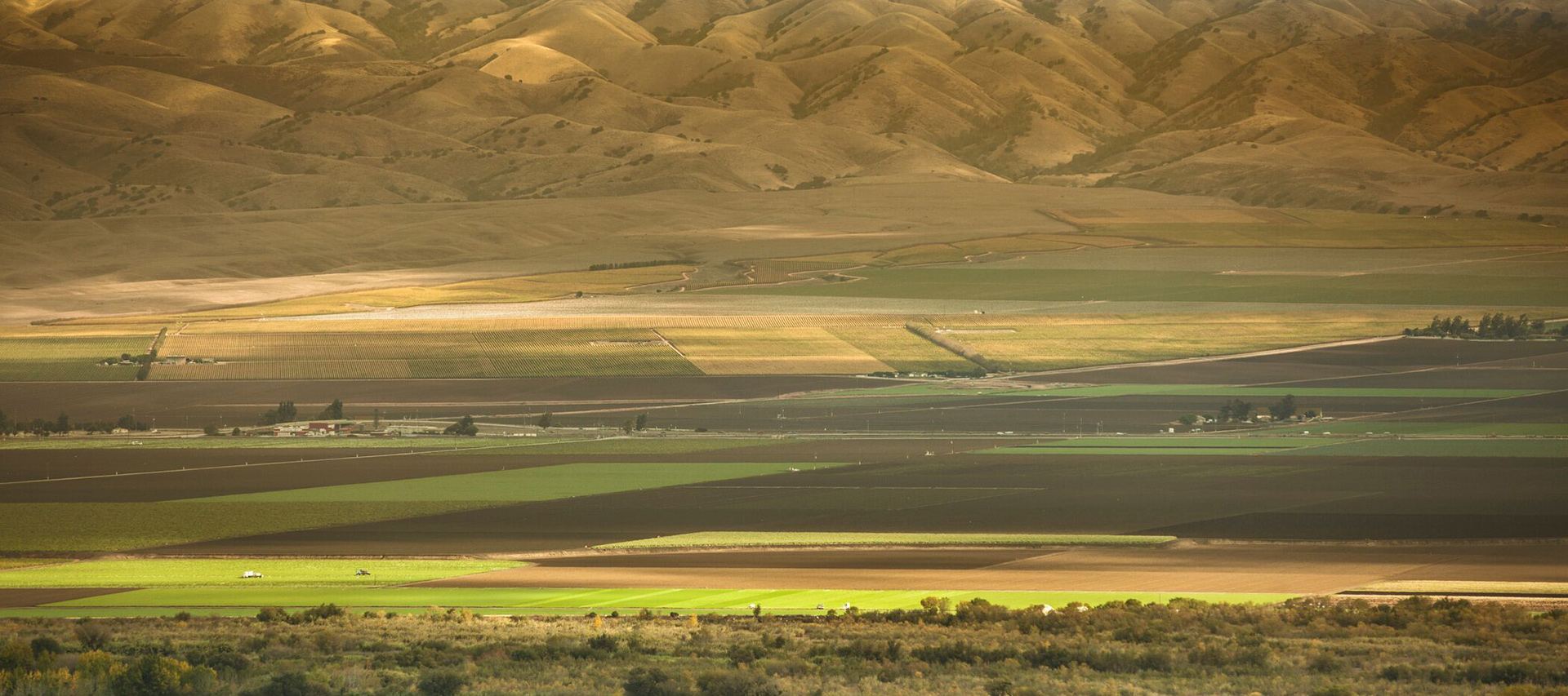 localarea_slider