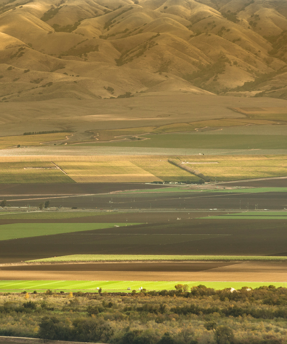localarea_slider